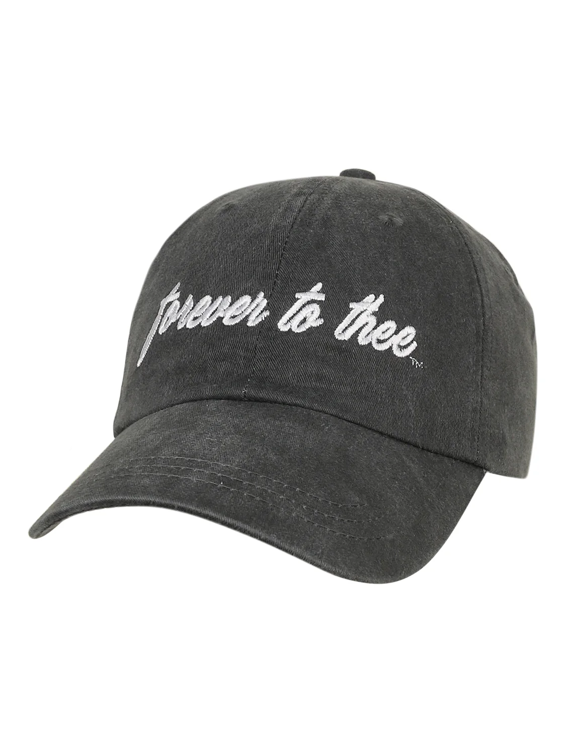 USC Forever To Thee Hat - Image 2